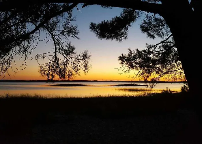 Bleu Nature - Hourtin, Medoc *