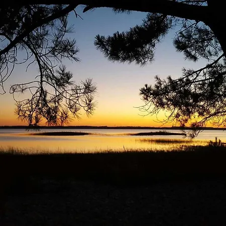 Bleu Nature - Hourtin, Medoc *